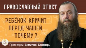 Ребёнок кричит перед Чашей. Почему ?  Протоиерей Димитрий Беженарь