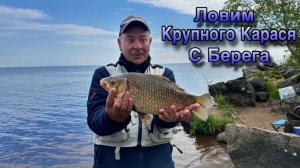 Рыбалка на Чёрной речке где ловятся Лещи горбатые и Караси мордатые. Зеленогорск. Финский залив.