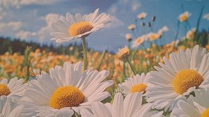 Тихий Дон гл.21-23 М.Шолохов