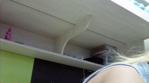 VID_20260520_154648.3gp