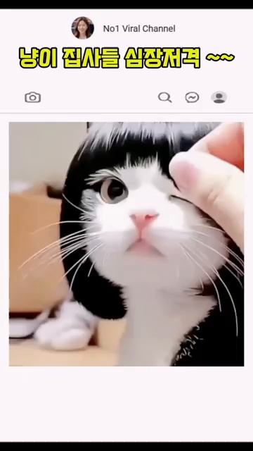 : )