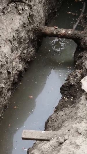 Жители затапливаемого дома в Саратове месяц добиваются прочистки канализации