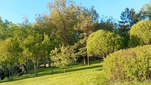 Рубрика Широка красота