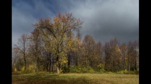 Сентябрь  1. В пустоте...