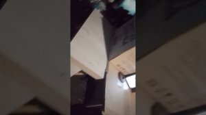 1000003091.mp4