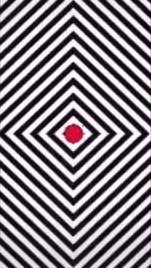 НЕВЕРОЯТНАЯ ИЛЛЮЗИЯ