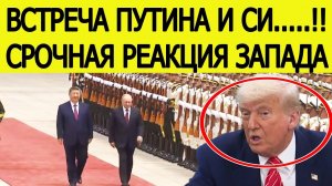 DENIXINFO - Новости Политики : ⚡️Встреча Путина и Си Цзиньпина. Срочная реакция Запада