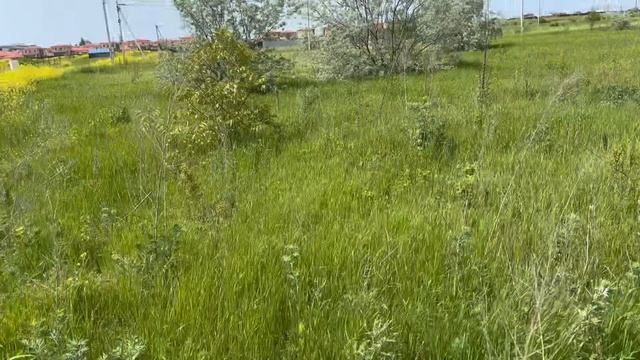 Поможем построить ваш дом у моря