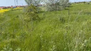 Поможем построить ваш дом у моря