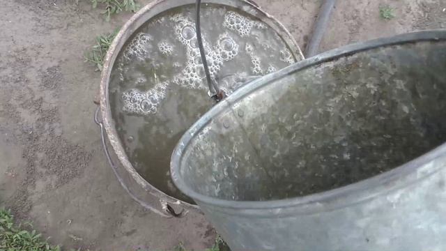 Подкормка клубники весной