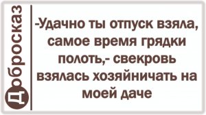 -Удачно ты отпуск взяла, самое время грядки полоть,- свекровь взялась хозяйничать на моей даче