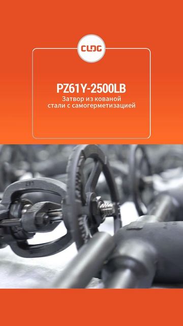 PZ61Y-2500LB Стальной задвижковый клапан с ковкой и самоуплотнением-CLDG