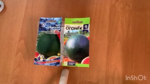 Сажаю семена дыни и арбузов
