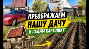 ДАЧНЫЙ ВЛОГ, ОБЛАГОРАЖИВАЕМ НАШУ ДАЧУ, САДИМ КАРТОШКУ И НЕ ТОЛЬКО.
