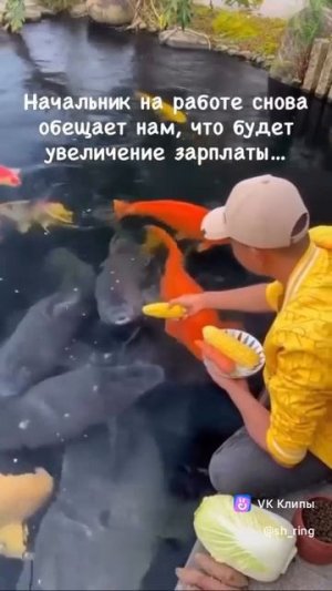 Про повышение зарплаты