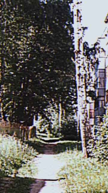☀ Лето ведь уже наступило? / #думер #doomer #постпанк #doomermusic #postpunk #russiandoomer