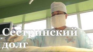 Свыше 35 медсестёр ЛНР наградили за верность профессии