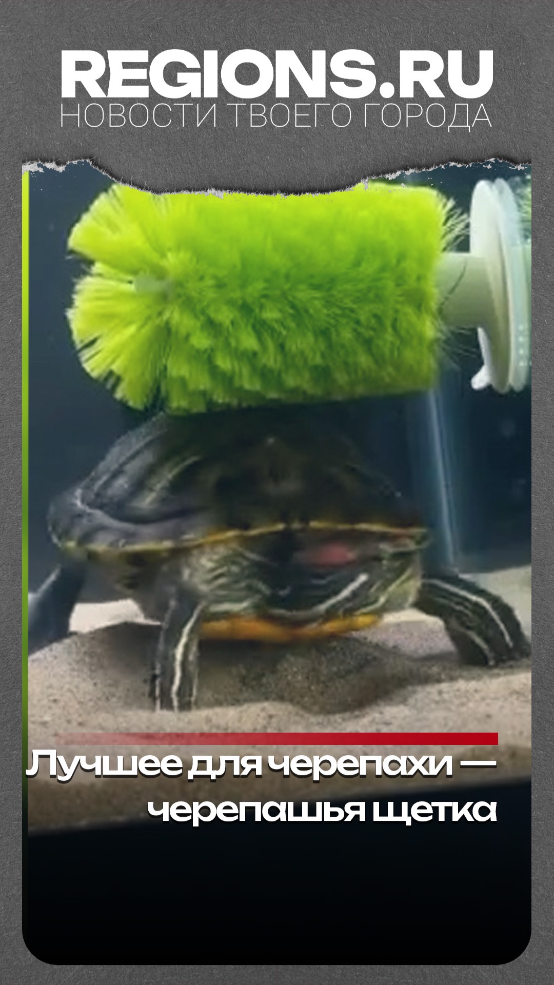 Волшебный закат