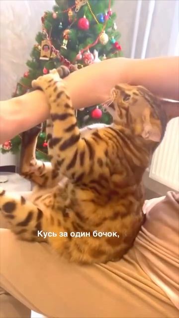 Коррекция фигуры по методике Kusss — это то, что вам нужно! 🤩 #коррекция #фигура #методика