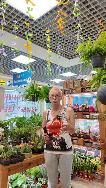 Фалики, филики, аглаши, спатики. Про профессиональный сленг цветочников.