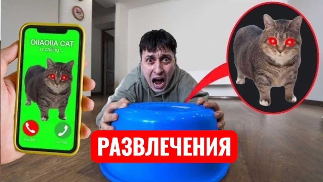 Если ты видите, что О-И-И-А крутится КОШКА – БЕГИТЕ! Развлечения. смотреть онлайн
