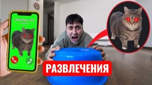 Если ты видите, что О-И-И-А крутится КОШКА – БЕГИТЕ! Развлечения.