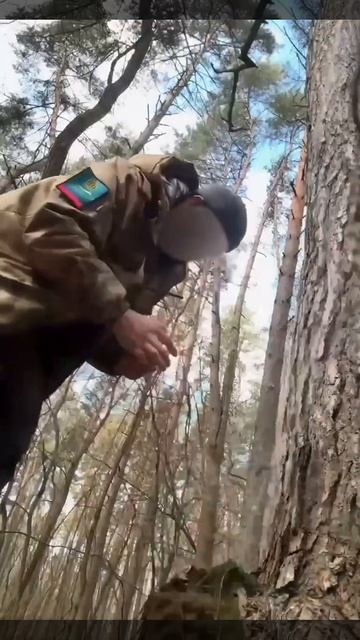 Апти Алаудинов 