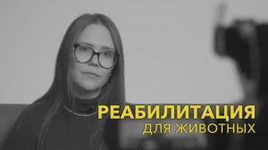 Взгляд на ветеринарную реабилитацию