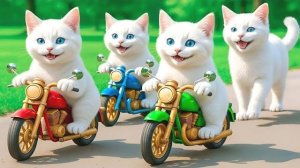 Семейное приключение мамы-кошки и мамы-кошки | Милая история о велопрогулке семьи кошек