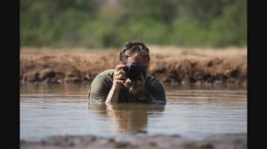 Знакомство с творчеством Greg du Toit