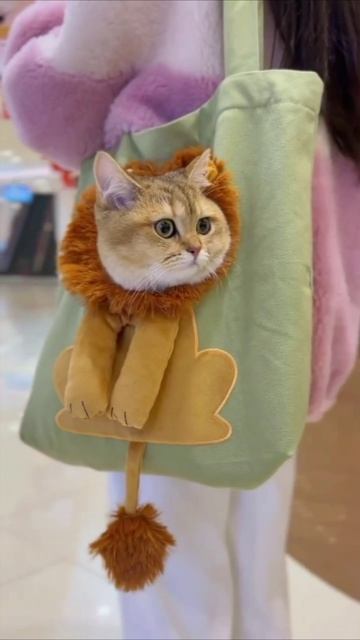 Смешные коты #121-9
