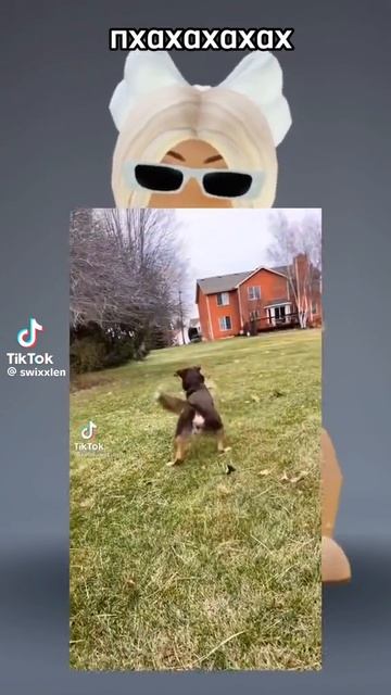 1000006756.mp4