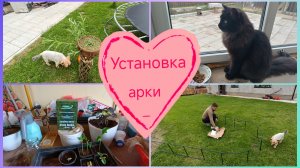Влог.Устанавливаем арку в саду.Жить нужно так😉