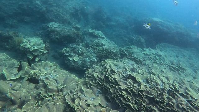 Bali-2026 - 5. Amed смотреть онлайн