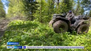 Вокруг лес и связи нет: чем закончилось таёжное ралли под Прокопьевском?