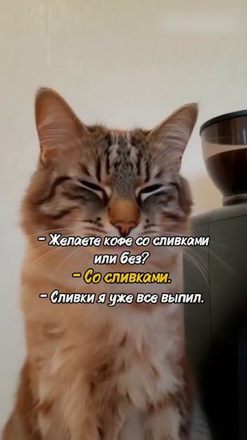 Отличный выбор