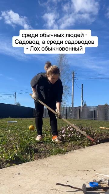 Садовод