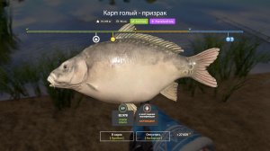 САМЫЕ ИНТЕРЕСНЫЕ РАЗДАЧИ ФАРМА И ТРОФЕЕВ НА 20.05 ОБЗОР ВОДОЕМОВ В РУССКОЙ РЫБАЛКЕ 4 РР4
