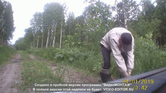 Оффроуд на волге