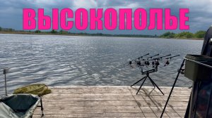 КАК ЛОВИТЬ КАРПА на соревнованиях. Карпфишинг. Рыбалка на карпа водоем Высокополье