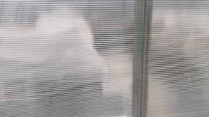 Непогода 🥶🥶🥶в Сибири,ничего не растёт,и работать не даёт