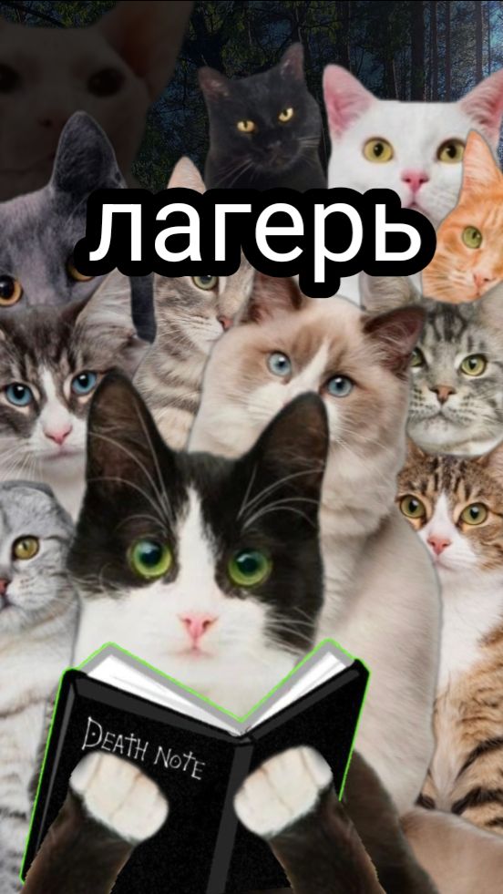 Лагерь 1 серия