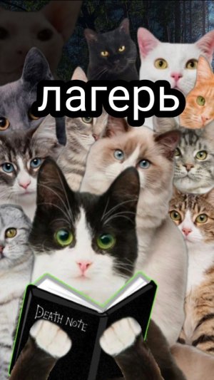 Лагерь 1 серия
