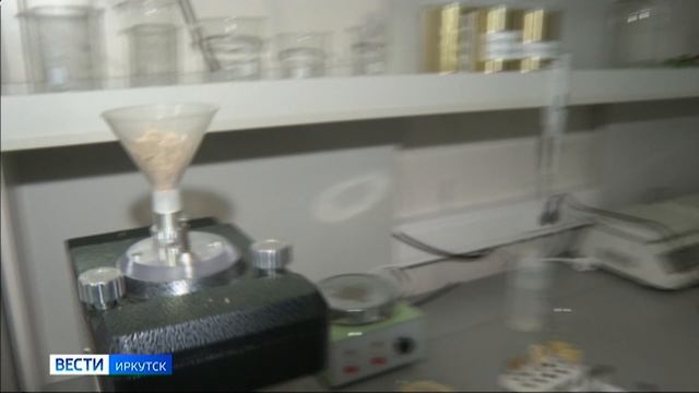 Ценное сырье из отходов. Иркутские ученые перерабатывают солому для получения из нее целлюлозы