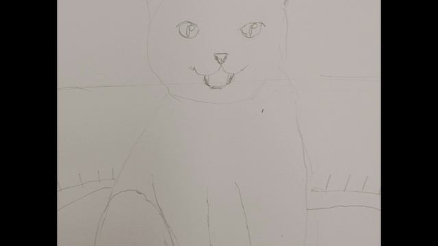 Как я рисую котейку 🐱