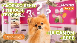 Третья часть. Сколько денег на самом деле приносит груминг?
