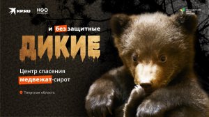 Косолапые сироты: любовь без сантиментов