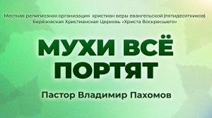 МУХИ ВСЁ ПОРТЯТ | Пастор Владимир Пахомов (г. Берёзовский)