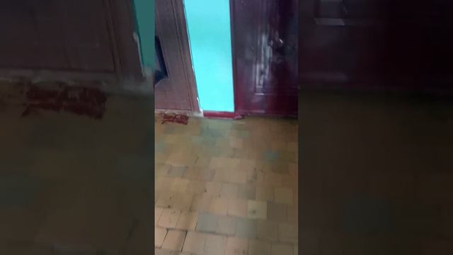 1000076988.mp4