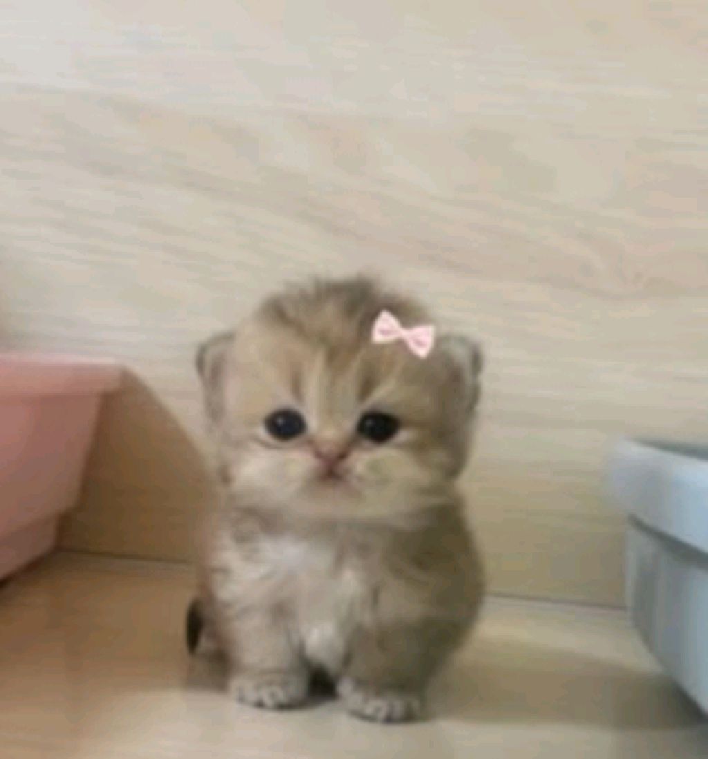 :)